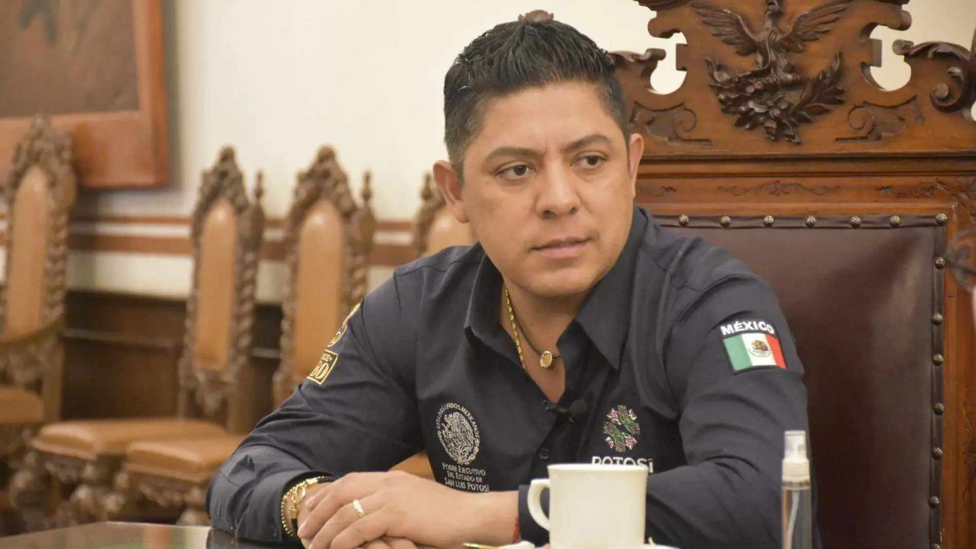 Gobernador Ricardo Gallardo 